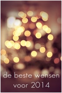 de best wensen voor 2014